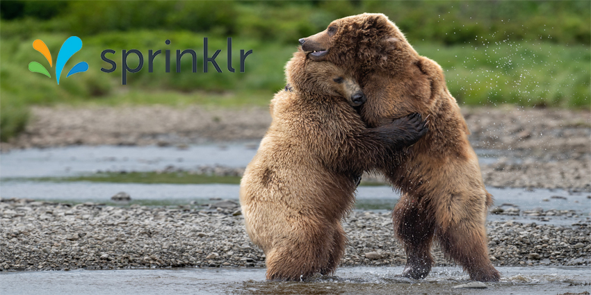 Bear hug at McNeil River