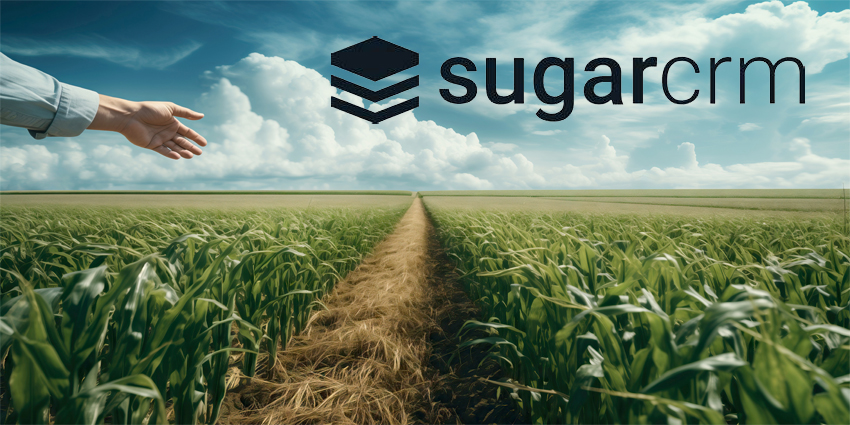 Hand pointing to a path in the middle of fields